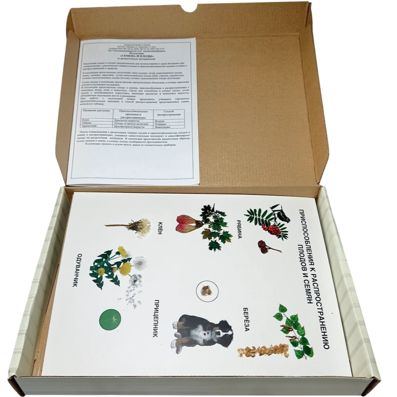 Коллекция демонстрационная «Семена и плоды с раздаточным материалом»