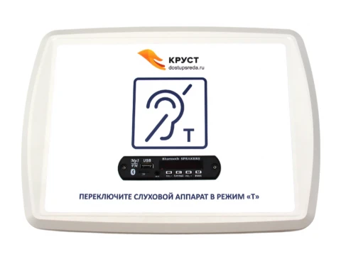 Индукционная система Стандарт